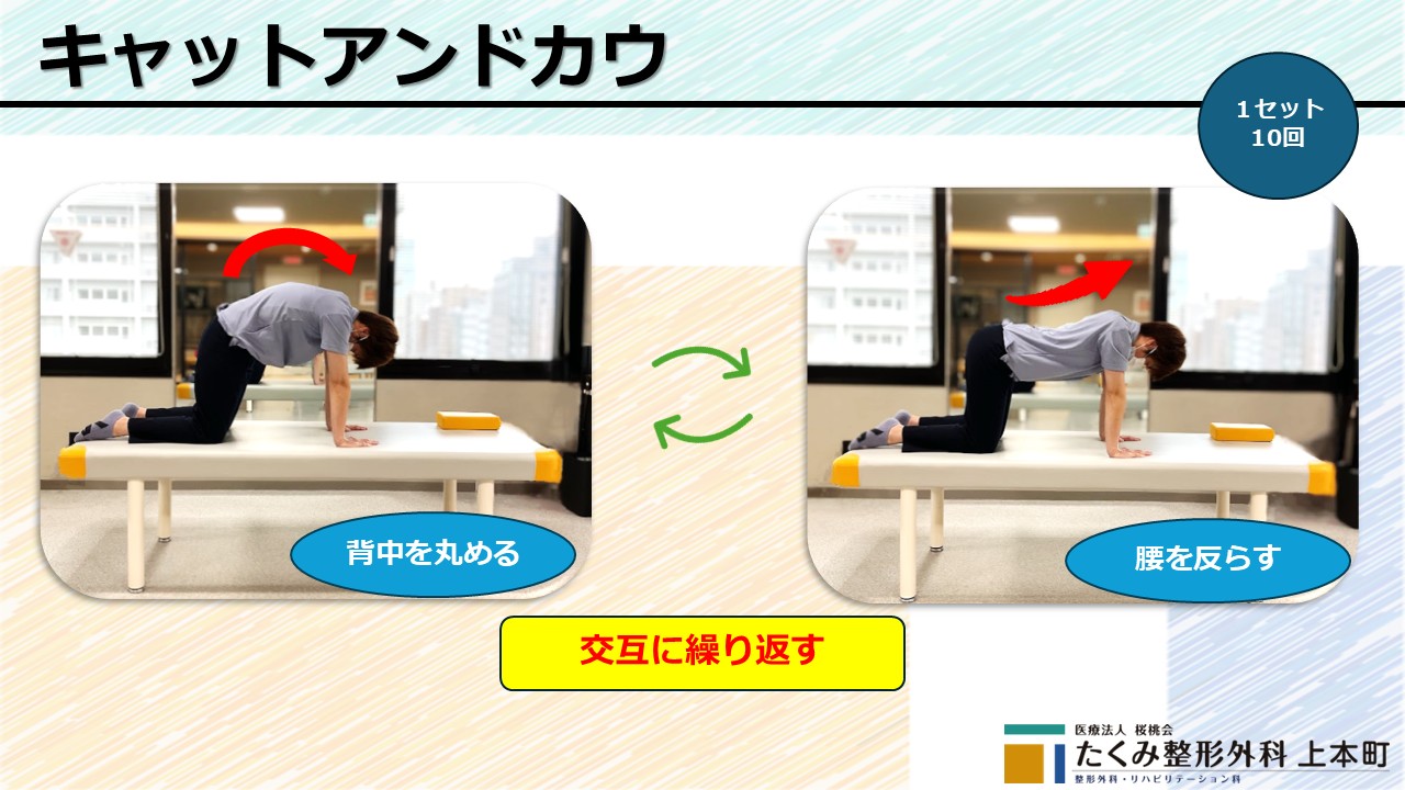 キャットアンドカウ
